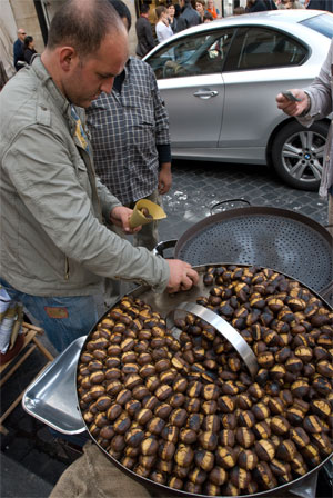 2011-12-05-chestnut_vendor.jpg