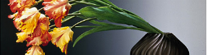 2011-12-06-imagepull.jpg