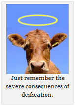 2011-12-20-sacredcow20.12.2011.png