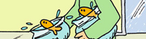 2011-12-28-goldfish.jpg
