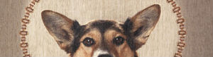 2012-02-01-Birke_Sandra_InDogWeTrust_Guckstdu.jpg
