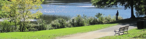 2012-02-01-imgpull.jpg