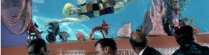 2012-02-06-imagepull.jpg