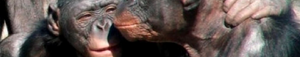 2012-02-14-Screenshot20120214at9.46.31AM.png