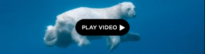 2012-02-15-imagepull.jpg