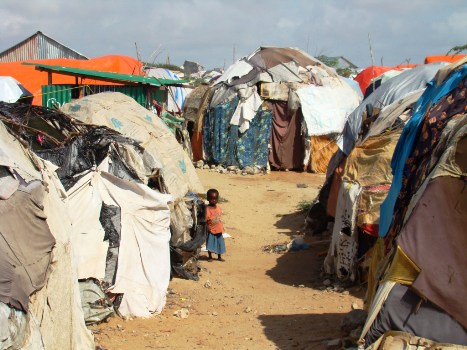 2012-02-22-Campsomalia.JPG