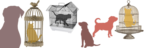 2012-03-01-CatCage03.jpg