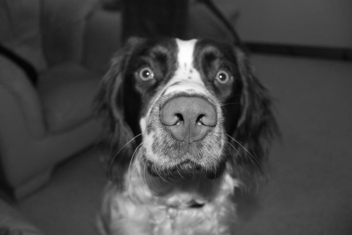 2012-03-12-Max.JPG
