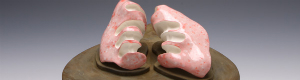 2012-03-14-imagepull2.jpg