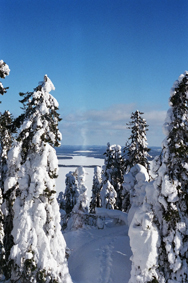 2012-04-18-KOLI1low.jpg