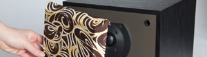2012-04-24-SpeakerSMALL.jpg