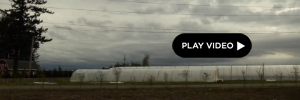 2012-05-02-videopull.jpg
