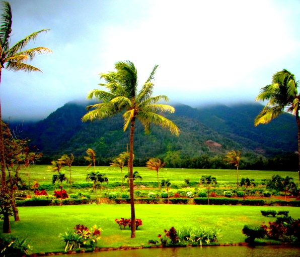 2012-05-09-RIMG1631.JPG