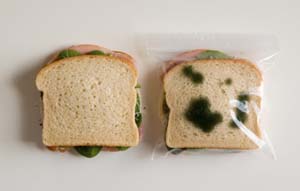 2012-05-09-sandwiches.jpg