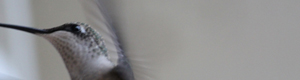 2012-05-14-FelkerSmall.jpg
