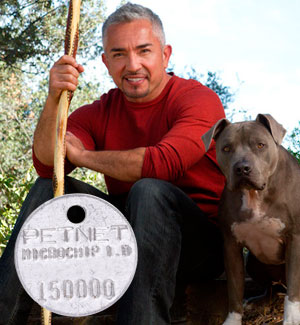 Cesar Millan Gay