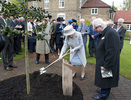 2012-05-23-TheQueenplantsatree.jpg