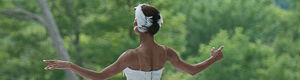 2012-05-31-ballerinapull.jpg