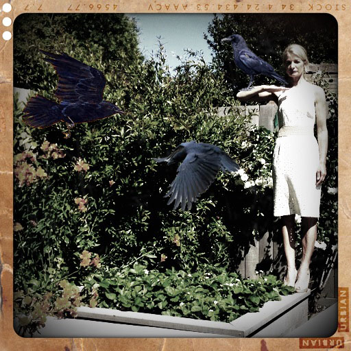 2012-06-01-realcrows.jpg