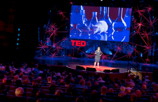 2012-06-28-ted12.png
