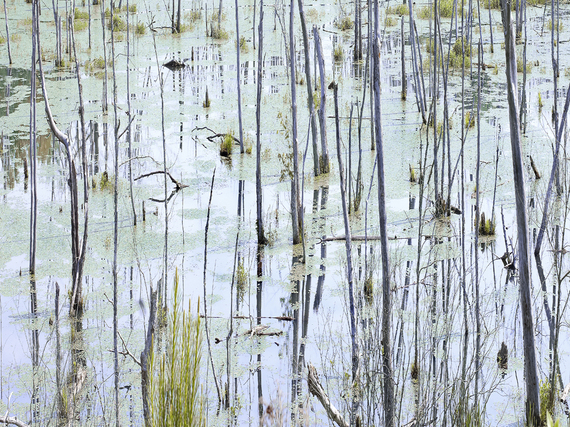 2012-07-04-SWAMP2012.jpg