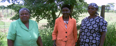 2012-07-20-VIAwomensgroupheader.jpg