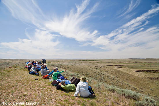 2012-07-24-birdwatchers_lingohr.jpg