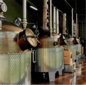 2012-07-28-DistillerieMassenez.jpeg