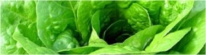 2012-08-02-ManolaPrimermundo.jpg