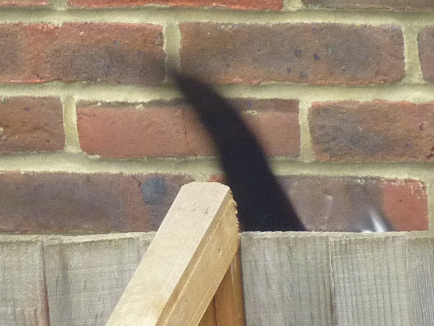 2012-08-03-Pepperfence3.JPG