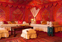 The Arabian Tent Company