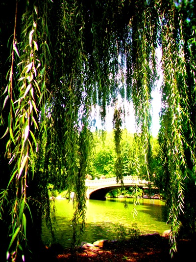 2012-08-16-RIMG3079.JPG