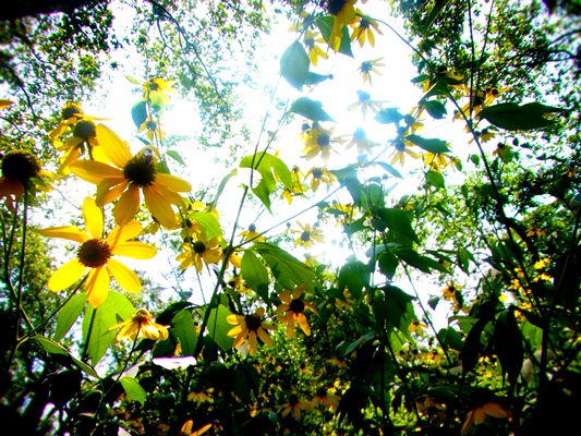 2012-08-16-RIMG3089.JPG