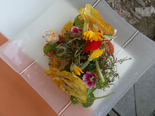2012-08-20-TamarillosLanguostineflowersHP.jpg