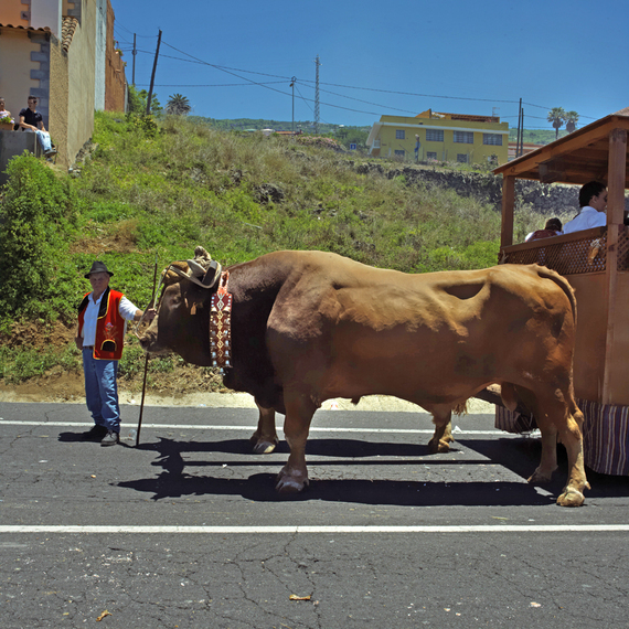 2012-09-03-Nance_Tenerife62012_1149.jpg