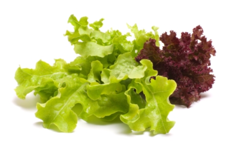 2012-09-12-lettuce_eatsavvy.jpg
