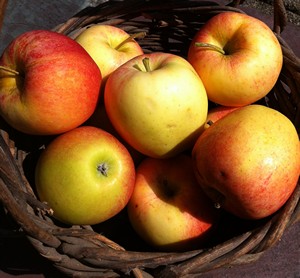 2012-09-17-AccidentalLocavoreGalaApples.jpg