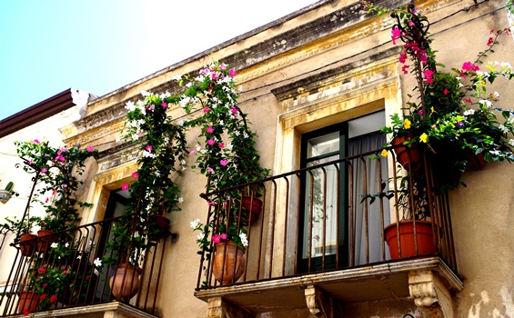 2012-09-20-IMGP0072.JPG