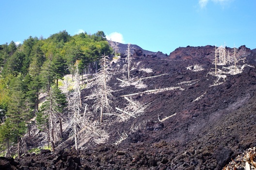 2012-09-20-IMGP0231.jpg