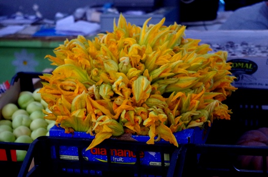 2012-09-20-IMGP0272.JPG