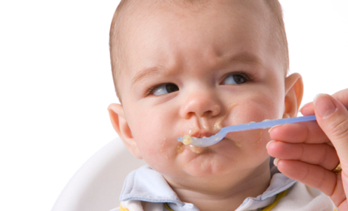 2012-09-26-minnowsblog_babyeating.jpg