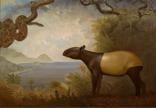 2012-09-29-Tapir.Snake.web001.jpg