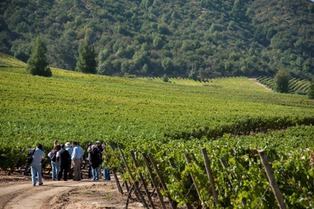 2012-10-16-ChiliVignoblePhoto.jpg