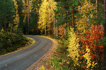 2012-10-19-JOGGINGINAUTUMN.jpg