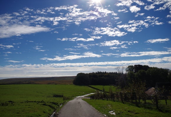 2012-10-21-IMGP0512.JPG