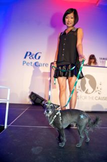 2012-10-22-PawsfortheCause2012RyanEmberley5.jpg