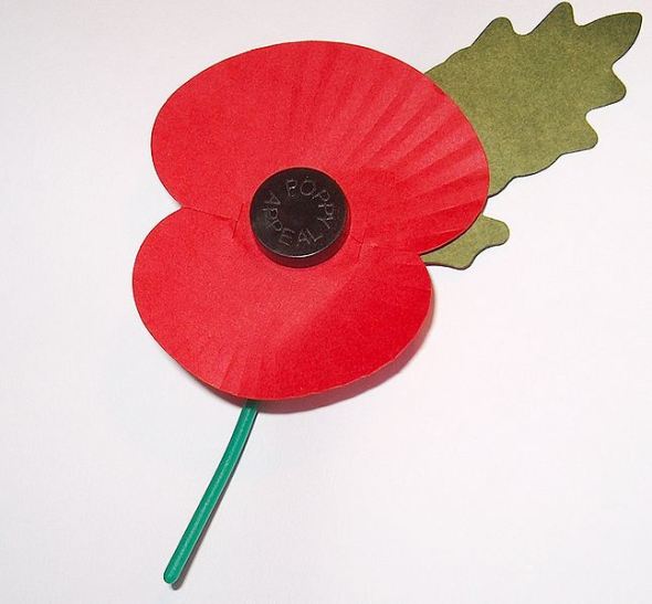 Wearing A Poppy