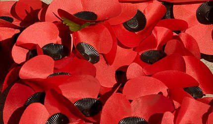 2012-11-07-poppypage.jpg