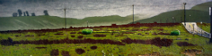 2012-12-05-molllyymaay