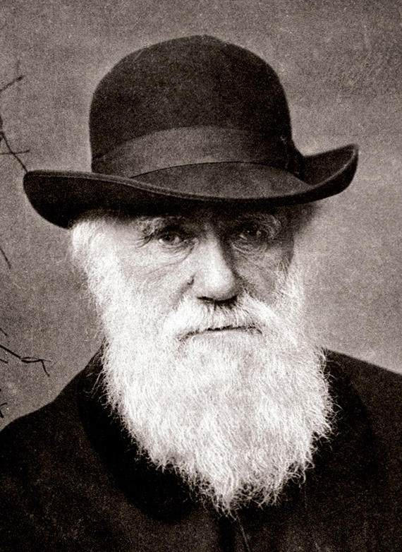 2012-12-10-Charles_Darwin_1880_National_Galleries_of_Art.jpg